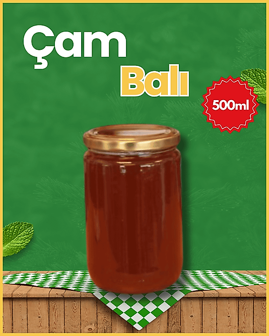 Çam Balı 500 gr